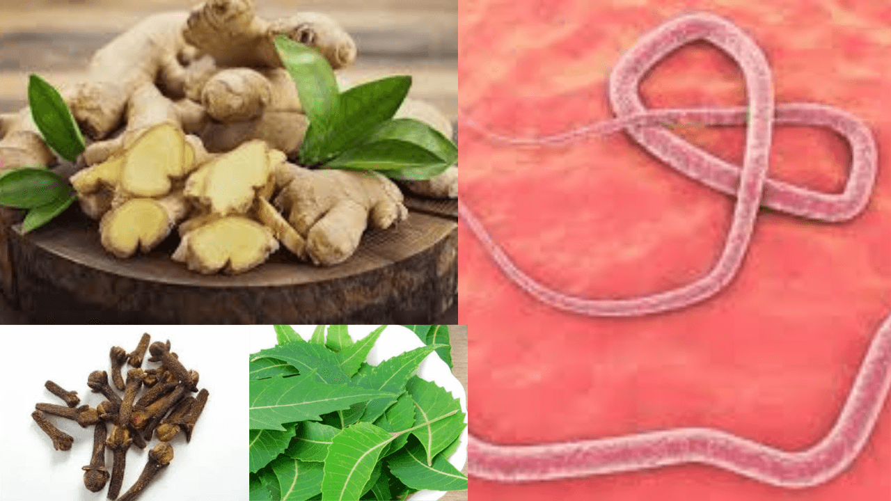 Foods to Kill Intestinal Worms
