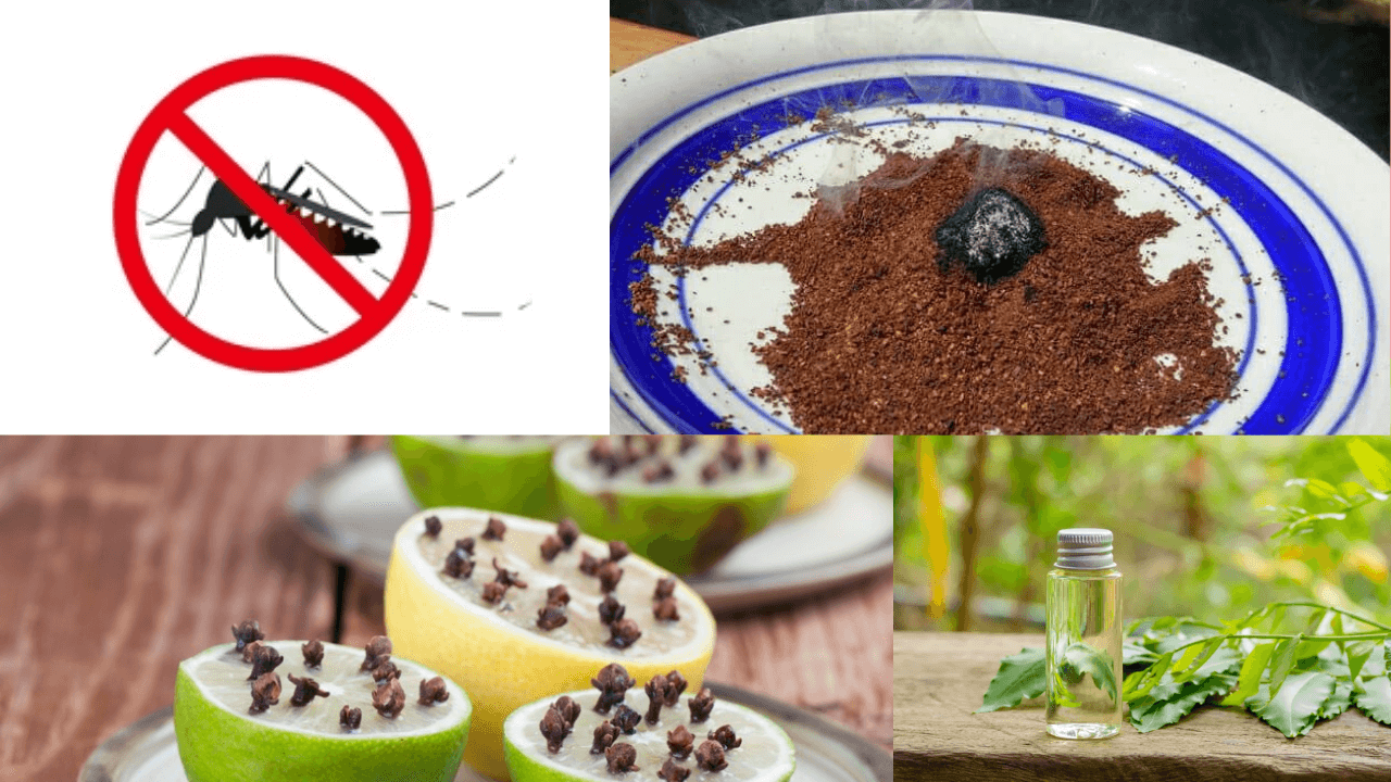Powerful home remedies to get rid of mosquitoes hindi