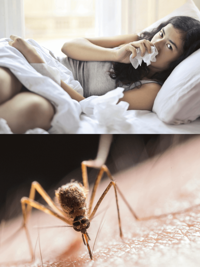 Home remedies for dengue in this season