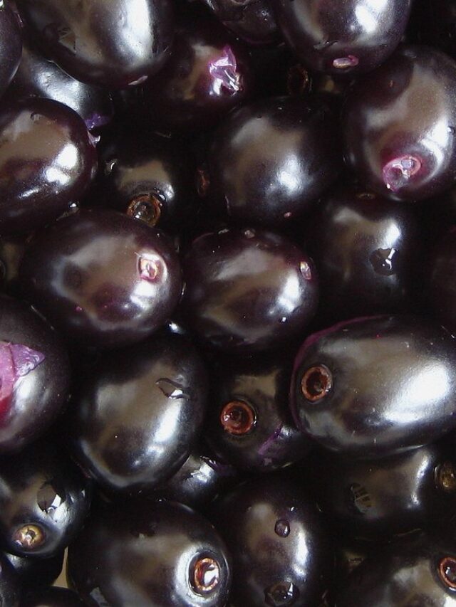 Jamun benefits – Why we should eat